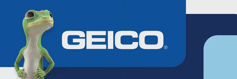 Geico Insurance